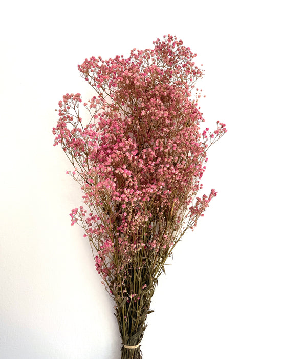 Bunch of Beautiful Preserved Pink Gypsophila Flowers - Fernery Designs