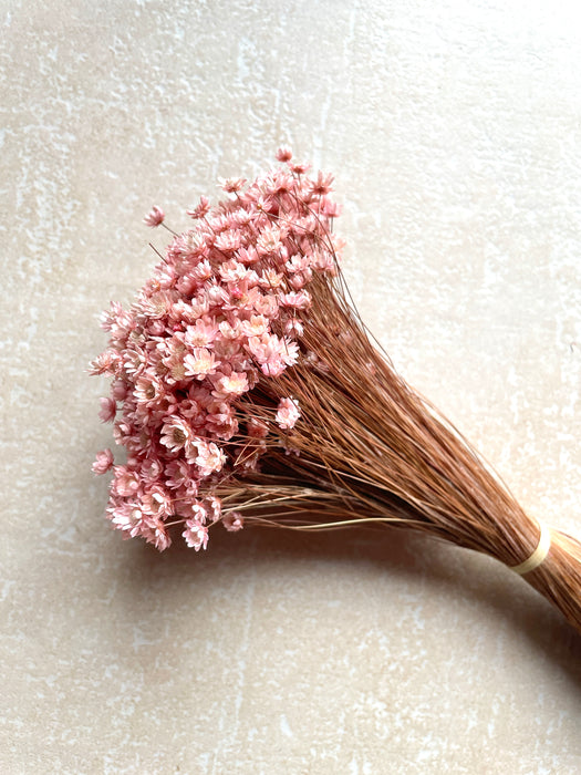Bunch of Beautiful Pink Marcela Dried Flowers - Fernery Designs