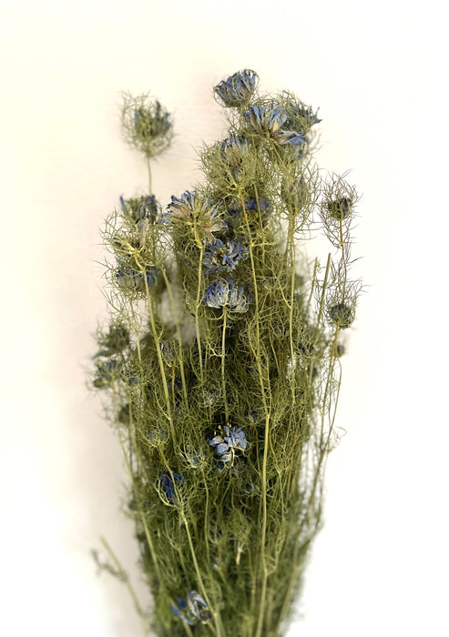 Bunch of Beautiful Dried Nigella Natural Blue Flowers - Fernery Designs
