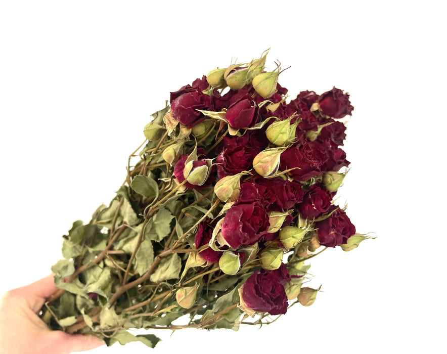 Dried Red Roses - Beautiful deep red colour - Fernery Designs