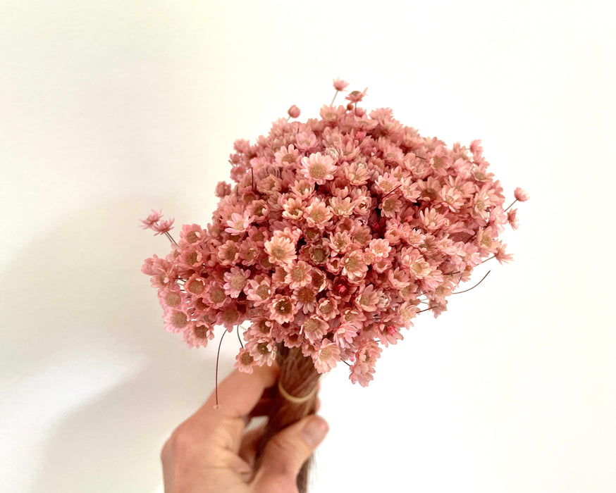 Bunch of Beautiful Pink Marcela Dried Flowers - Fernery Designs