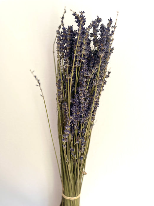 Bunch of Dried Lavender - Extra Natural Blue - Fernery Designs