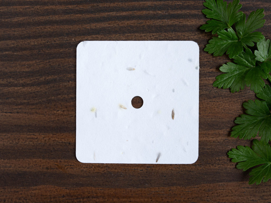 Blank Square Seed Candle Dust Covers for cotton wick- 280gsm card, UK wildflower seeds - Fernery Designs