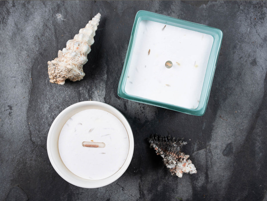 Blank Square Seed Candle Dust Covers for cotton wick- 280gsm card, UK wildflower seeds - Fernery Designs