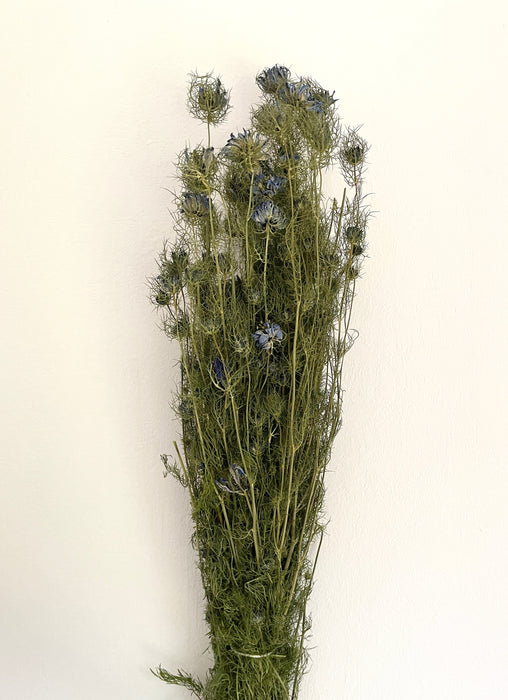 Bunch of Beautiful Dried Nigella Natural Blue Flowers