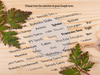 Custom Printed Small Stud Earring Display Cards - Fernery Designs