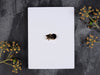 Pin Brooch / Single Stud Earring Display Cards 10cm x 7.5cm / c. 4” x 3” inches, 350gsm, White / Recycled White - Fernery Designs