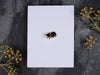 Pin Brooch / Single Stud Earring Display Cards 10cm x 7.5cm / c. 4” x 3” inches, 350gsm, White / Recycled White - Fernery Designs